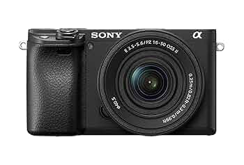 【お値下げ】Sony a6300 16-50mm 付属品沢山 816sNzQ+mhL._UF350,350_QL50_.jpg